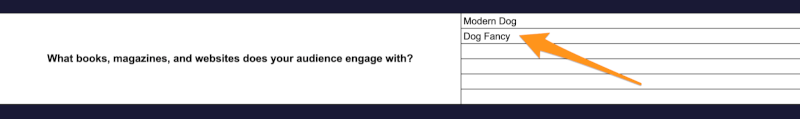 enter audience research